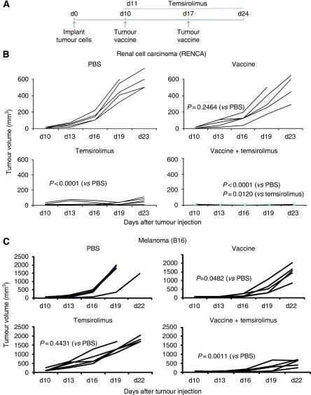 https://cdn.ncbi.nlm.nih.gov/pmc/blobs/8dca/3049595/deec0a0f4482/bjc201115f1.jpg