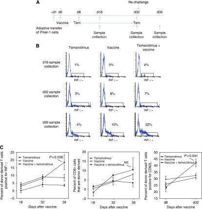 https://cdn.ncbi.nlm.nih.gov/pmc/blobs/8dca/3049595/e38ad6bad868/bjc201115f6.jpg