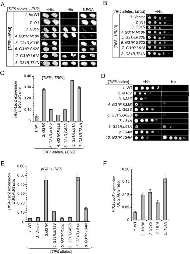 https://cdn.ncbi.nlm.nih.gov/pmc/blobs/8dca/4150770/5388199a7c69/gku653fig2.jpg