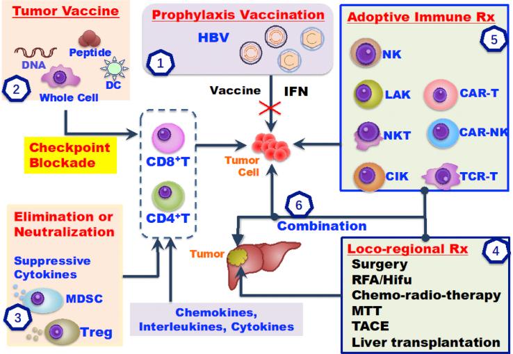 https://cdn.ncbi.nlm.nih.gov/pmc/blobs/8dcb/7452511/072e1eb9f9c6/gr2.jpg