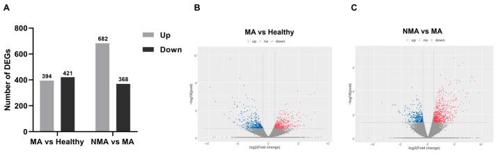 https://cdn.ncbi.nlm.nih.gov/pmc/blobs/8dcf/12197047/130940380f44/plants-14-01787-g002.jpg