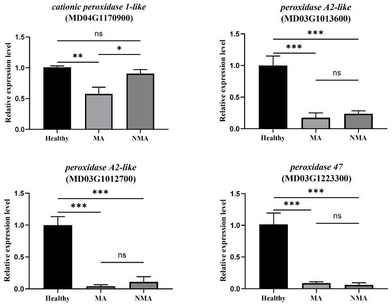 https://cdn.ncbi.nlm.nih.gov/pmc/blobs/8dcf/12197047/8939a64b8a6b/plants-14-01787-g007.jpg