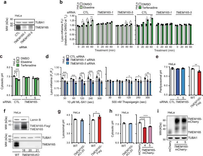 https://cdn.ncbi.nlm.nih.gov/pmc/blobs/8dd0/12141690/845dc3d93698/41467_2025_60349_Fig3_HTML.jpg