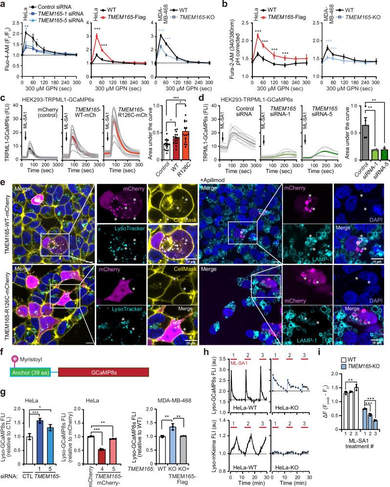 https://cdn.ncbi.nlm.nih.gov/pmc/blobs/8dd0/12141690/b454fbbdf57d/41467_2025_60349_Fig4_HTML.jpg