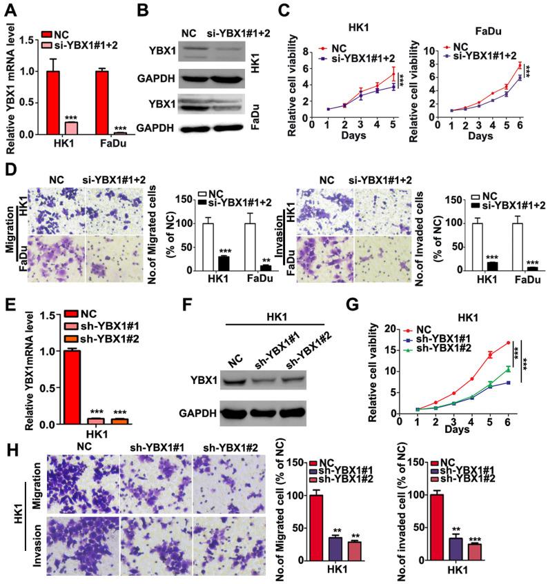 https://cdn.ncbi.nlm.nih.gov/pmc/blobs/8dd0/8100805/45901e72da67/jcav12p3315g004.jpg