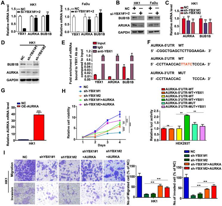 https://cdn.ncbi.nlm.nih.gov/pmc/blobs/8dd0/8100805/5faf916ad462/jcav12p3315g007.jpg