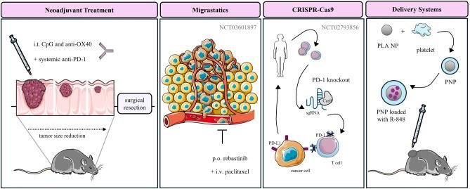 https://cdn.ncbi.nlm.nih.gov/pmc/blobs/8dd1/11754201/b1821cab7e15/fimmu-15-1479483-g003.jpg