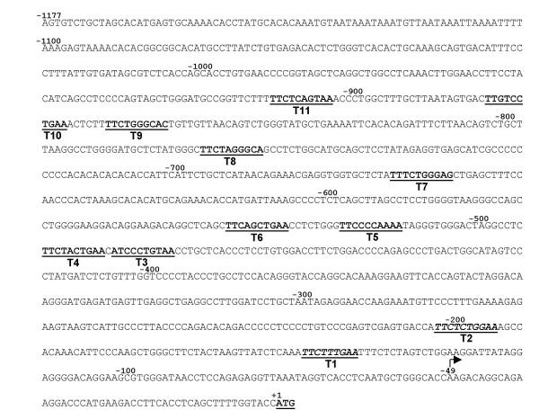 https://cdn.ncbi.nlm.nih.gov/pmc/blobs/8dd1/1698493/08805edc65f5/1471-2199-7-45-3.jpg