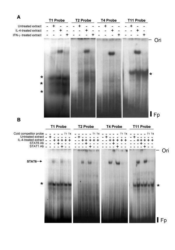 https://cdn.ncbi.nlm.nih.gov/pmc/blobs/8dd1/1698493/31b89f916d55/1471-2199-7-45-5.jpg
