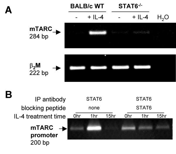 https://cdn.ncbi.nlm.nih.gov/pmc/blobs/8dd1/1698493/58c9ccc0b3f6/1471-2199-7-45-2.jpg