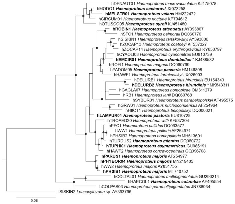 https://cdn.ncbi.nlm.nih.gov/pmc/blobs/8dd1/7615398/9f46cc8e8e00/EMS191269-f003.jpg