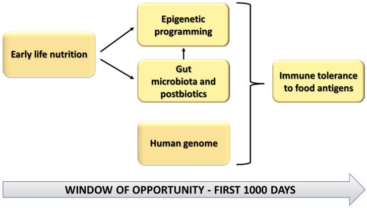 https://cdn.ncbi.nlm.nih.gov/pmc/blobs/8dd1/9103859/4058b11d7c90/nutrients-14-01766-g001.jpg