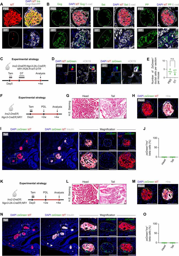 https://cdn.ncbi.nlm.nih.gov/pmc/blobs/8dd3/12084597/85524e6d98e3/44318_2025_434_Fig10_ESM.jpg