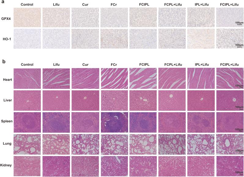 https://cdn.ncbi.nlm.nih.gov/pmc/blobs/8dd3/12395522/12656afee3a3/gr9.jpg