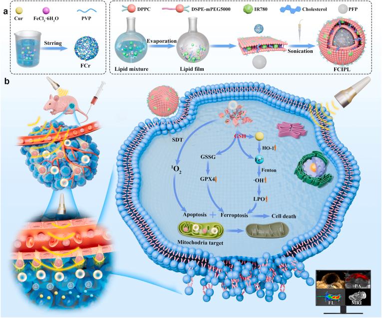 https://cdn.ncbi.nlm.nih.gov/pmc/blobs/8dd3/12395522/2c38c9d14fc3/sc1.jpg
