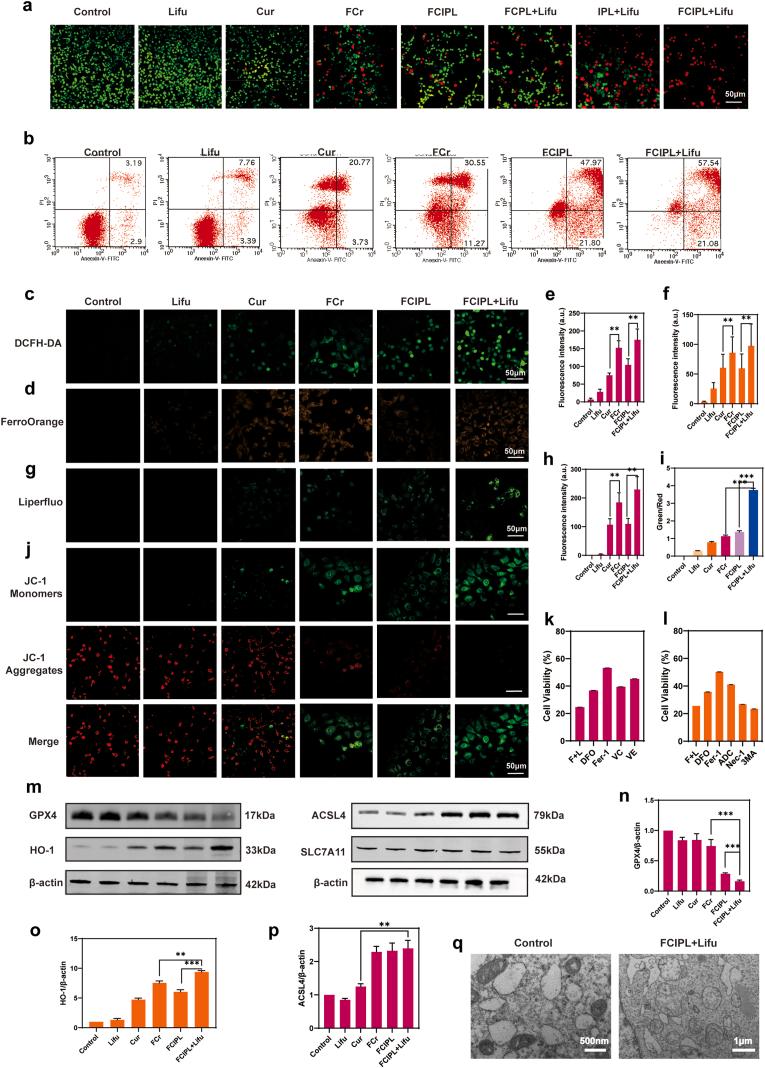 https://cdn.ncbi.nlm.nih.gov/pmc/blobs/8dd3/12395522/392dfe436adf/gr5.jpg