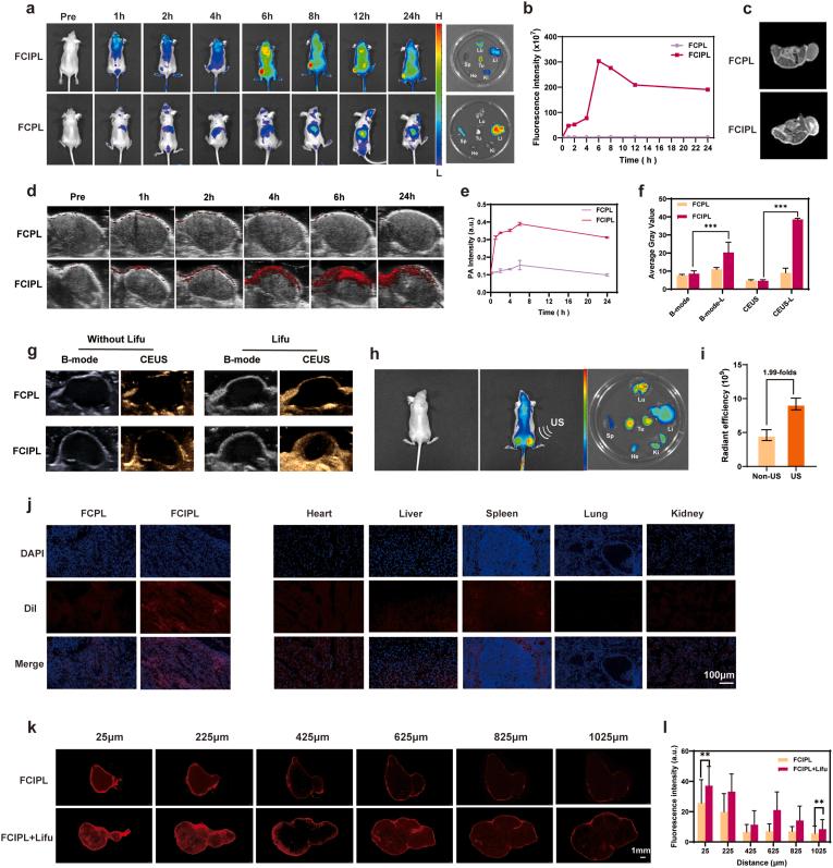 https://cdn.ncbi.nlm.nih.gov/pmc/blobs/8dd3/12395522/472c3481fb31/gr7.jpg