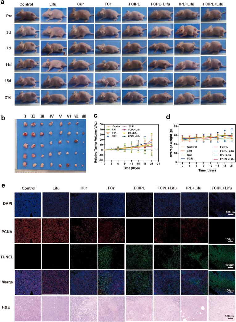 https://cdn.ncbi.nlm.nih.gov/pmc/blobs/8dd3/12395522/632b1be120c4/gr8.jpg