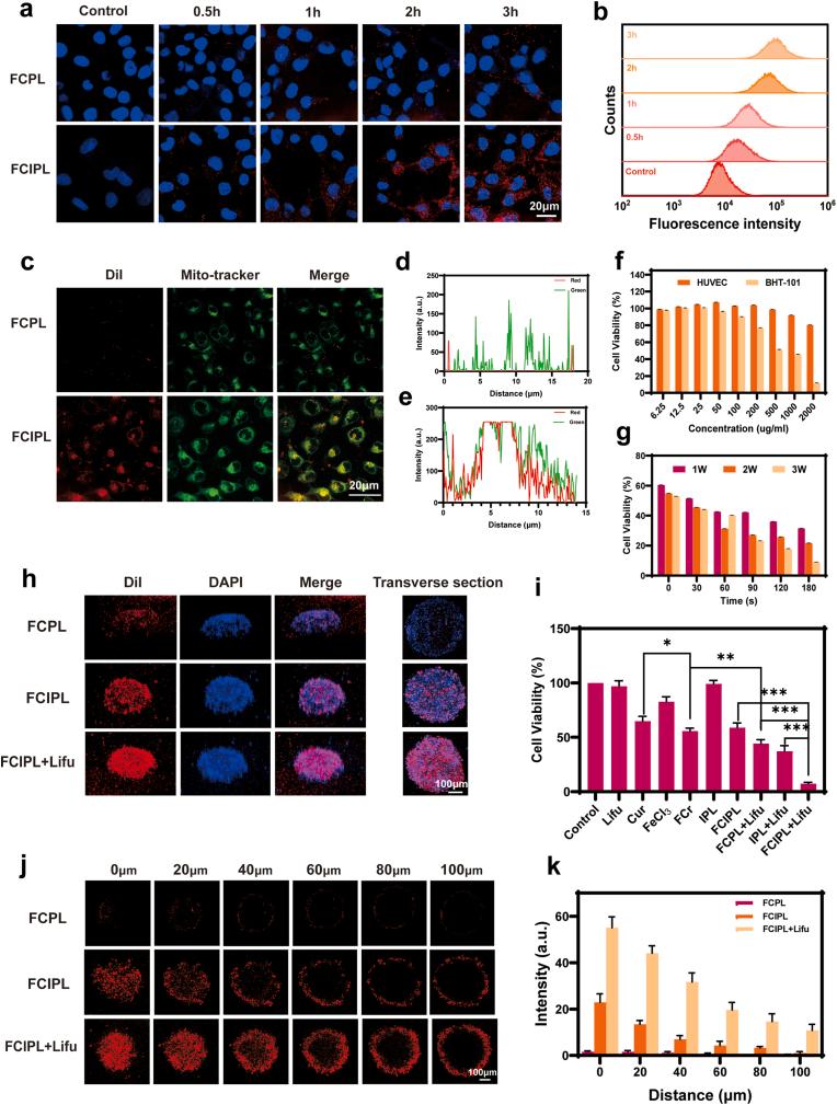https://cdn.ncbi.nlm.nih.gov/pmc/blobs/8dd3/12395522/936cf523d5de/gr4.jpg