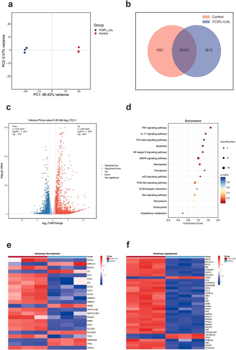 https://cdn.ncbi.nlm.nih.gov/pmc/blobs/8dd3/12395522/d9371b1c3306/gr6.jpg