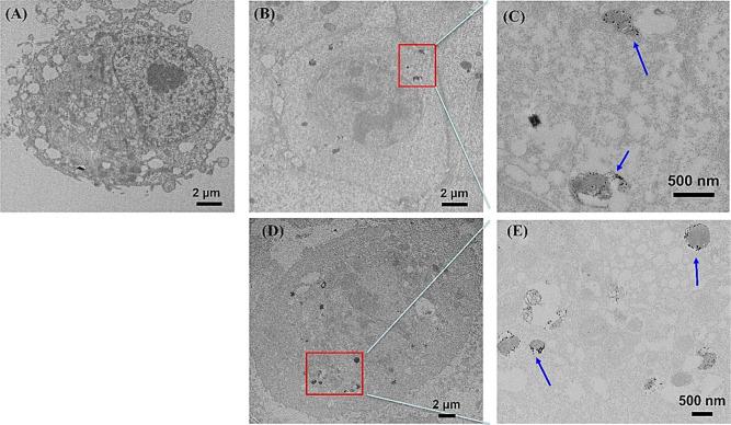 https://cdn.ncbi.nlm.nih.gov/pmc/blobs/8dd4/12332633/4a2efad0660a/ao5c02145_0004.jpg