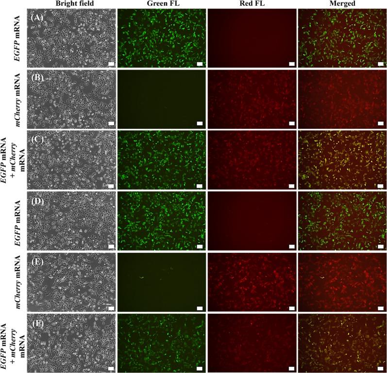 https://cdn.ncbi.nlm.nih.gov/pmc/blobs/8dd4/12332633/6460e2f00a52/ao5c02145_0005.jpg