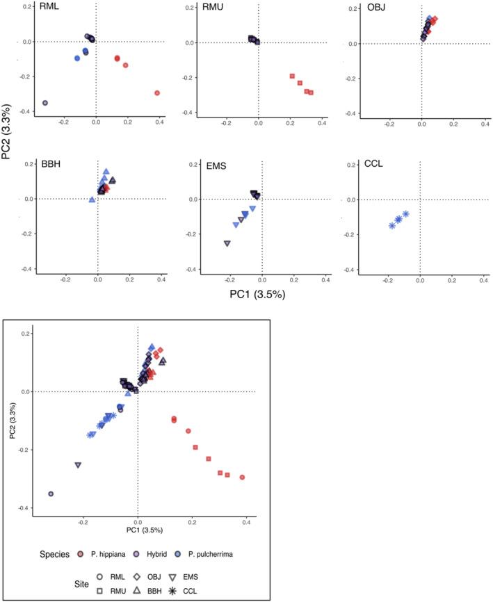 https://cdn.ncbi.nlm.nih.gov/pmc/blobs/8dd5/10336340/615f6de353c1/ECE3-13-e10097-g012.jpg