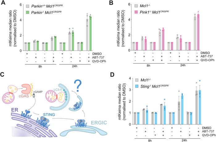https://cdn.ncbi.nlm.nih.gov/pmc/blobs/8dd5/10923902/66669ab679ff/41418_2024_1260_Fig2_HTML.jpg