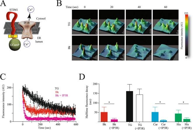 https://cdn.ncbi.nlm.nih.gov/pmc/blobs/8dd5/6125598/280571d410c1/41598_2018_31621_Fig5_HTML.jpg