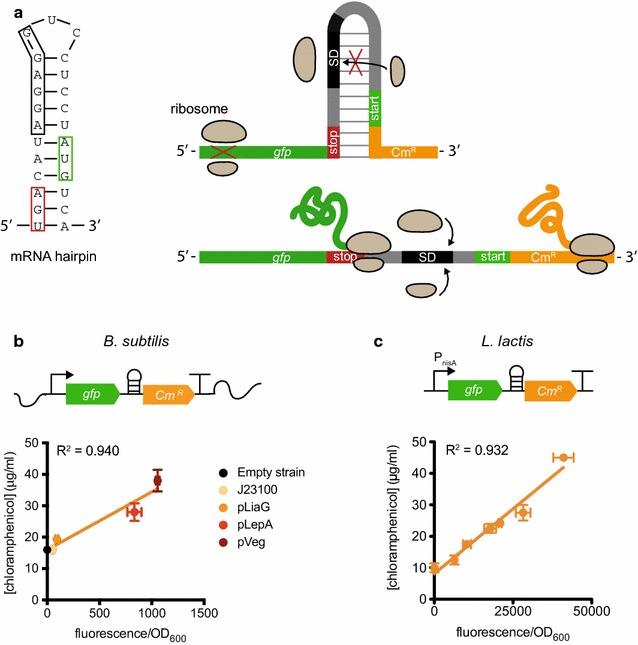 https://cdn.ncbi.nlm.nih.gov/pmc/blobs/8dd6/5842541/0c6c73cdd6cc/12934_2018_886_Fig1_HTML.jpg