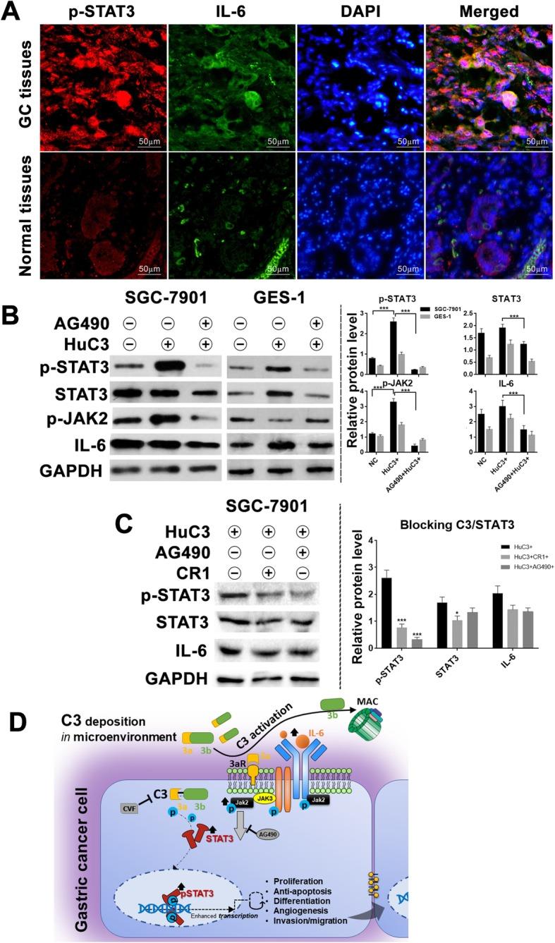 https://cdn.ncbi.nlm.nih.gov/pmc/blobs/8dd7/6956509/159d10786209/13046_2019_1514_Fig7_HTML.jpg