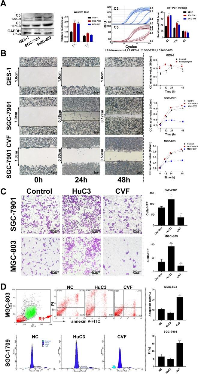 https://cdn.ncbi.nlm.nih.gov/pmc/blobs/8dd7/6956509/6268dadf1994/13046_2019_1514_Fig6_HTML.jpg