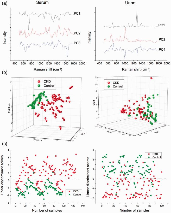 https://cdn.ncbi.nlm.nih.gov/pmc/blobs/8dd7/8027936/616baf2b4281/10.1177_0003702820966322-fig2.jpg
