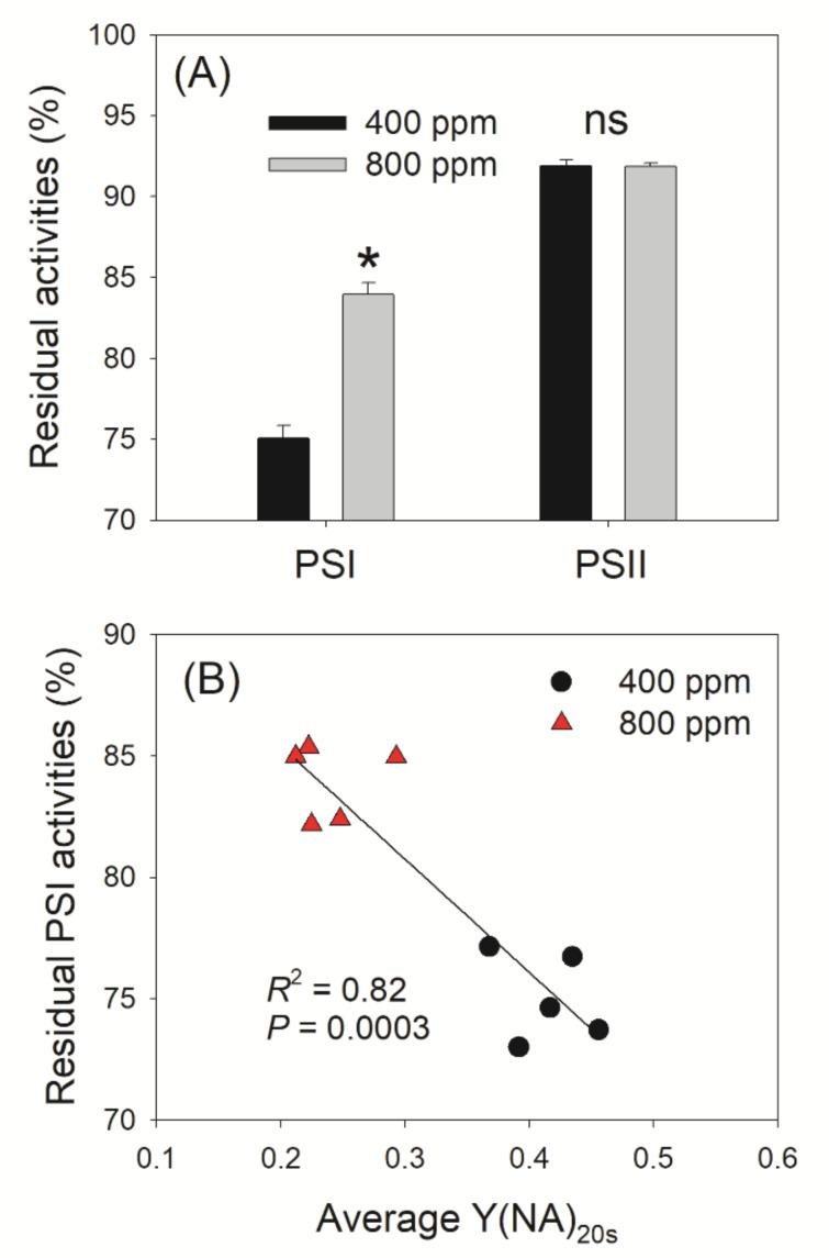 https://cdn.ncbi.nlm.nih.gov/pmc/blobs/8dd7/8471415/5b6f91c551cf/cells-10-02329-g007.jpg