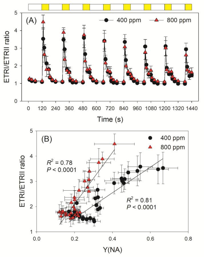 https://cdn.ncbi.nlm.nih.gov/pmc/blobs/8dd7/8471415/66d25f460820/cells-10-02329-g005.jpg