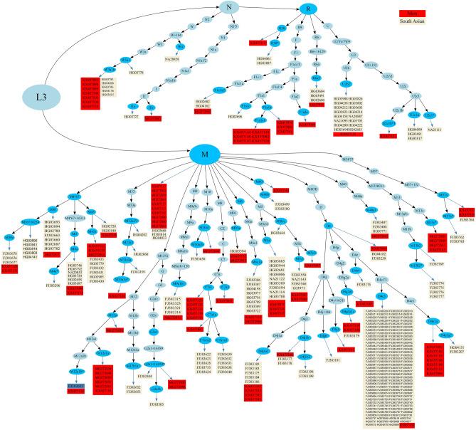 https://cdn.ncbi.nlm.nih.gov/pmc/blobs/8dd9/10663463/12d60558c87d/41598_2023_47762_Fig5_HTML.jpg