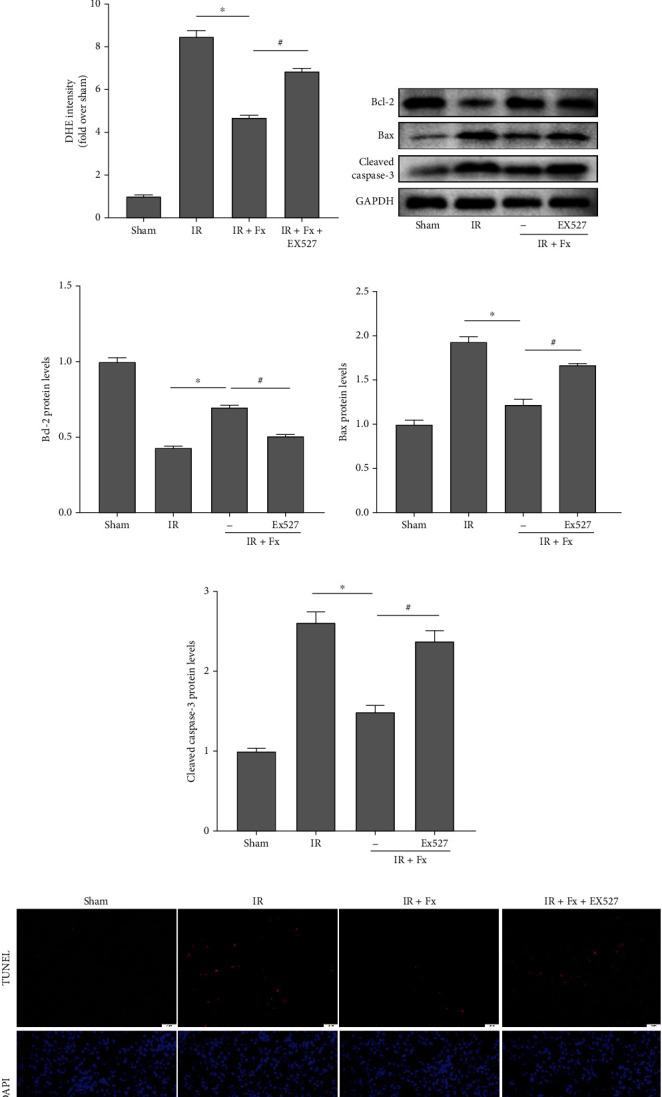 https://cdn.ncbi.nlm.nih.gov/pmc/blobs/8dd9/8816562/2ee89790feab/OMCL2022-7444430.007.jpg