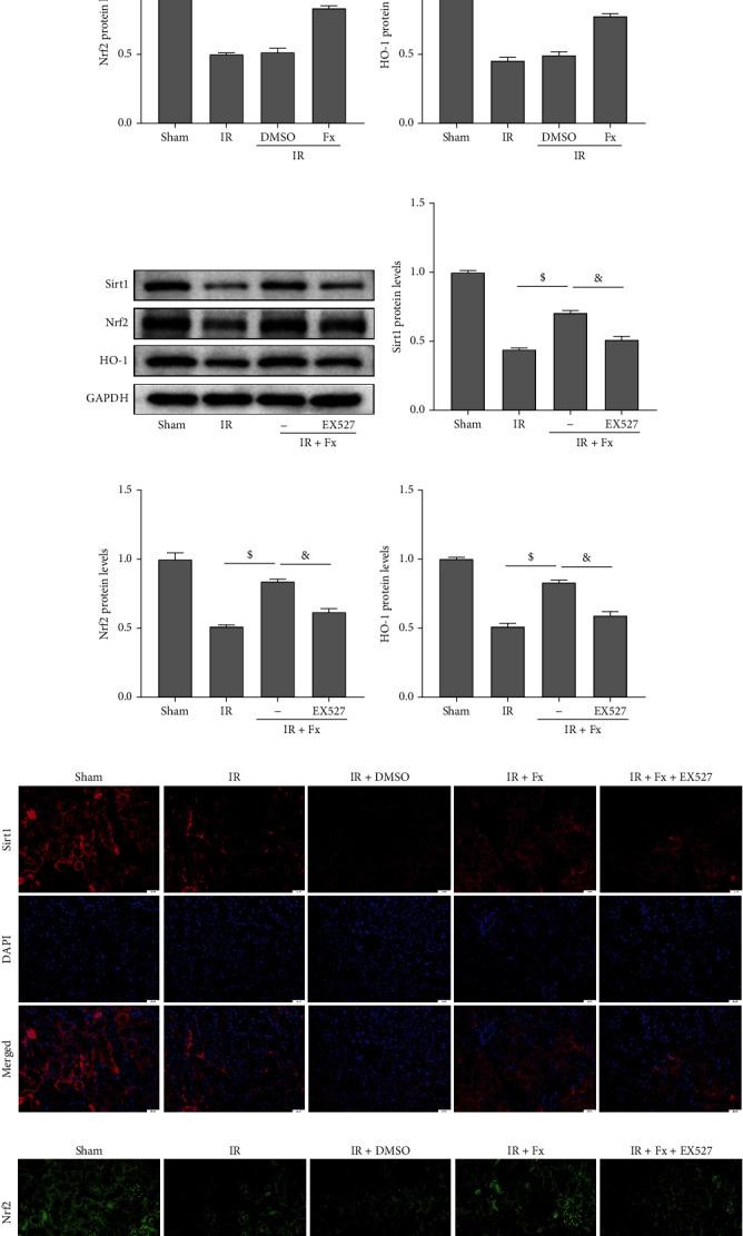 https://cdn.ncbi.nlm.nih.gov/pmc/blobs/8dd9/8816562/985379cc2752/OMCL2022-7444430.006.jpg