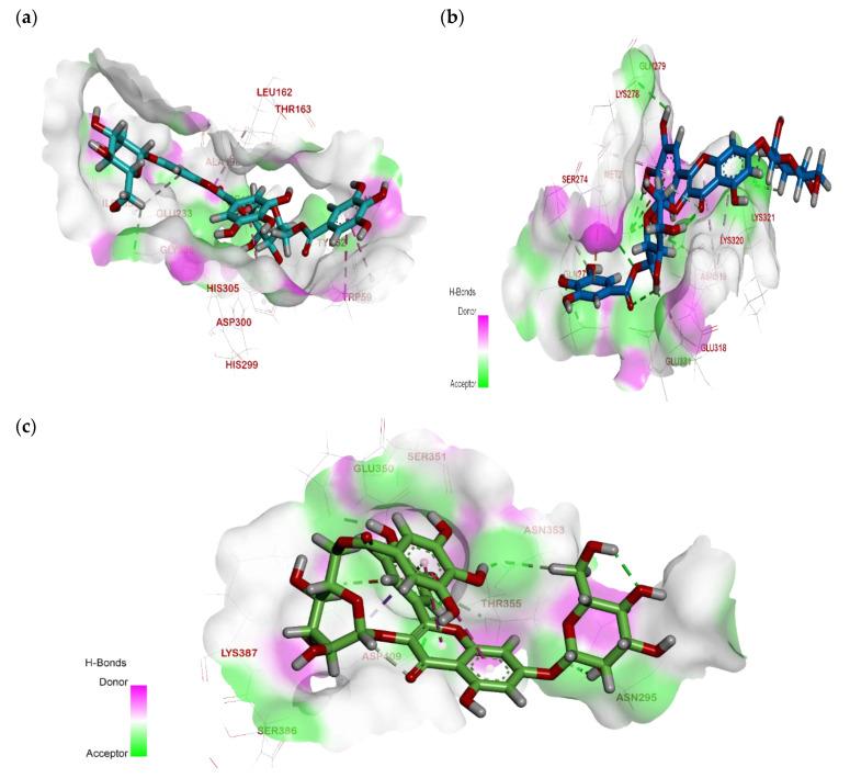 https://cdn.ncbi.nlm.nih.gov/pmc/blobs/8dd9/8840488/60dbc000bfb2/plants-11-00452-g005.jpg