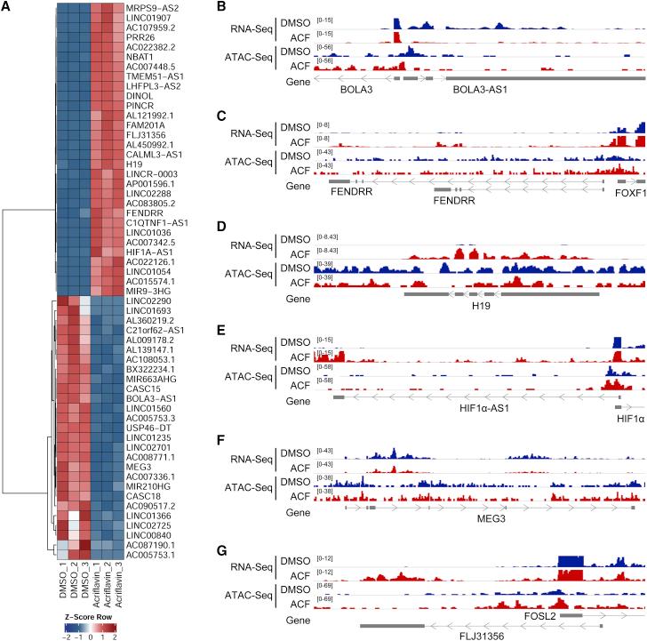 https://cdn.ncbi.nlm.nih.gov/pmc/blobs/8dd9/8844413/5dabbb98de07/gr5.jpg