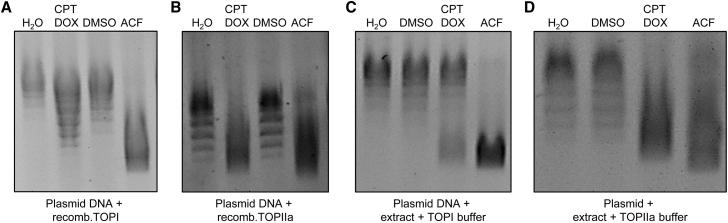 https://cdn.ncbi.nlm.nih.gov/pmc/blobs/8dd9/8844413/614ac5f33b30/gr2.jpg