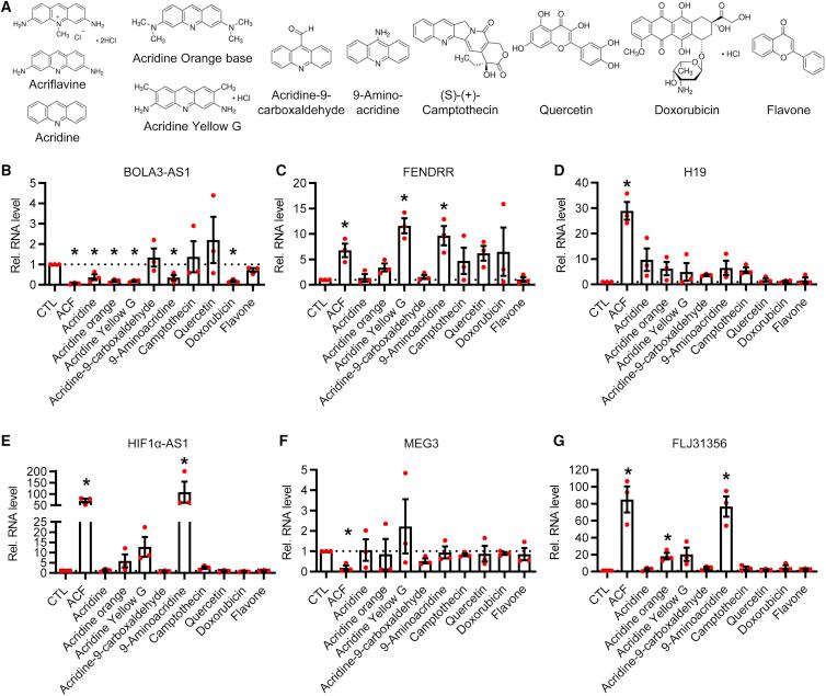 https://cdn.ncbi.nlm.nih.gov/pmc/blobs/8dd9/8844413/71793025dce9/gr6.jpg