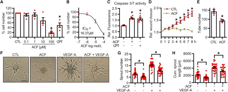 https://cdn.ncbi.nlm.nih.gov/pmc/blobs/8dd9/8844413/cc90f2ea1350/gr3.jpg