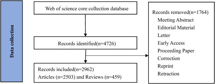 https://cdn.ncbi.nlm.nih.gov/pmc/blobs/8ddb/12011559/e849e136968a/fonc-15-1513296-g001.jpg