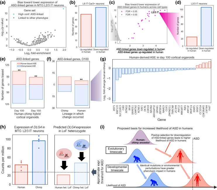 https://cdn.ncbi.nlm.nih.gov/pmc/blobs/8ddb/12410989/011ea20f834a/msaf189f6.jpg