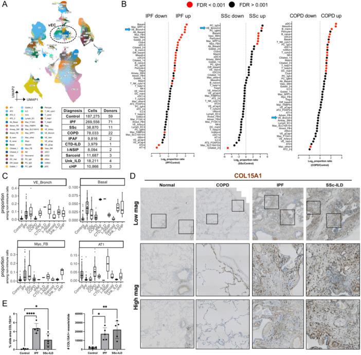 https://cdn.ncbi.nlm.nih.gov/pmc/blobs/8ddc/12130637/3753acac3a6b/PUL2-15-e70102-g003.jpg