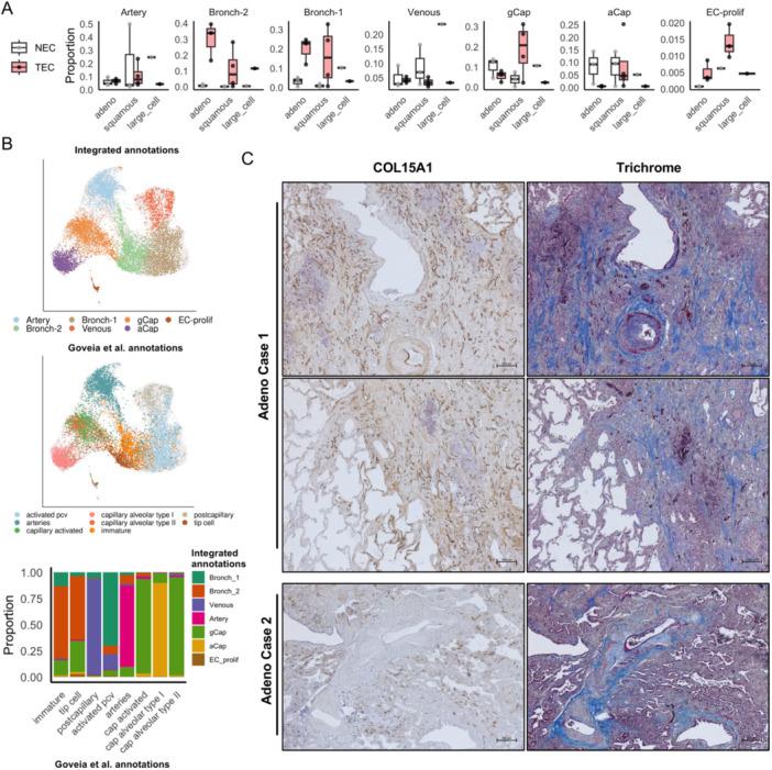 https://cdn.ncbi.nlm.nih.gov/pmc/blobs/8ddc/12130637/bdb9fff1105e/PUL2-15-e70102-g002.jpg