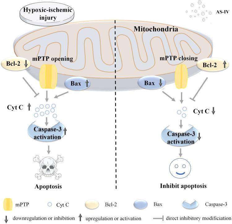 https://cdn.ncbi.nlm.nih.gov/pmc/blobs/8ddc/7507407/d2b4b2033ca4/DDDT-14-3731-g0002.jpg