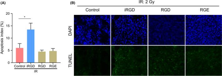 https://cdn.ncbi.nlm.nih.gov/pmc/blobs/8ddc/8990783/3049f14da43c/CAS-113-1417-g001.jpg