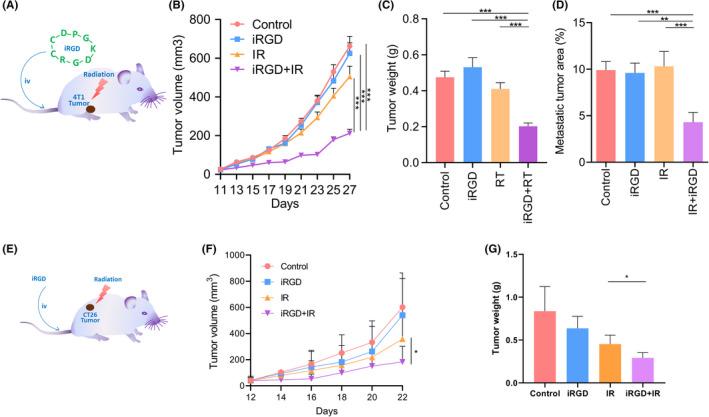 https://cdn.ncbi.nlm.nih.gov/pmc/blobs/8ddc/8990783/bda2734d24c1/CAS-113-1417-g008.jpg